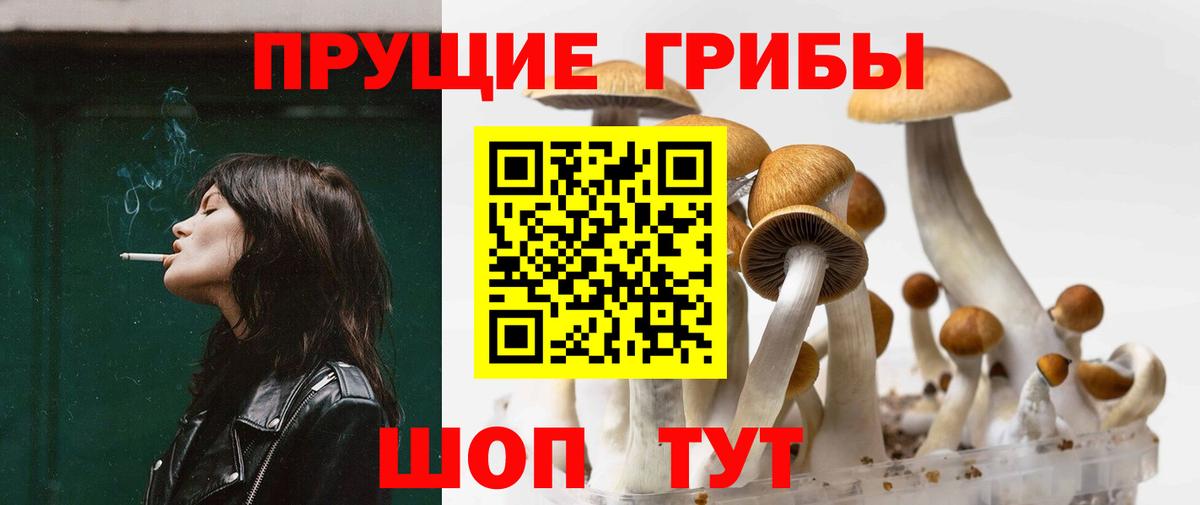 Псилоцибиновые грибы мухоморы Мичуринск